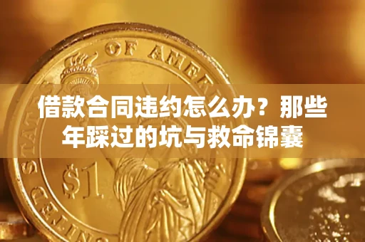 武汉借款合同违约怎么办?那些年踩过的坑与救命锦囊 武汉借款合同违约怎么办?那些年踩过的坑与救命锦囊