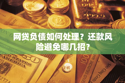 武汉网贷负债如何处理?还款风险避免哪几招? 武汉网贷负债如何处理?还款风险避免哪几招?